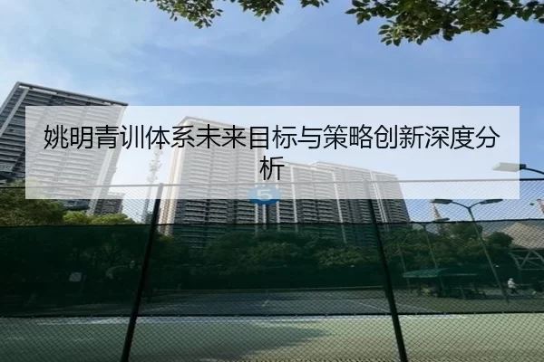 姚明青训体系未来目标与策略创新深度分析