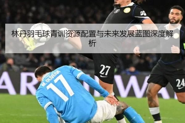 林丹羽毛球青训资源配置与未来发展蓝图深度解析