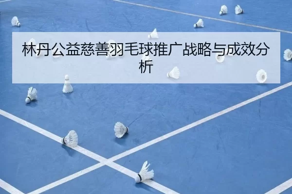 林丹公益慈善羽毛球推广战略与成效分析