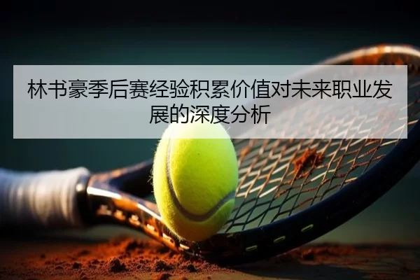 林书豪季后赛经验积累价值对未来职业发展的深度分析